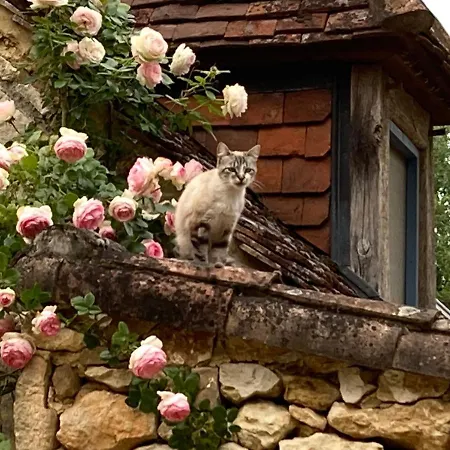 Maison Maria